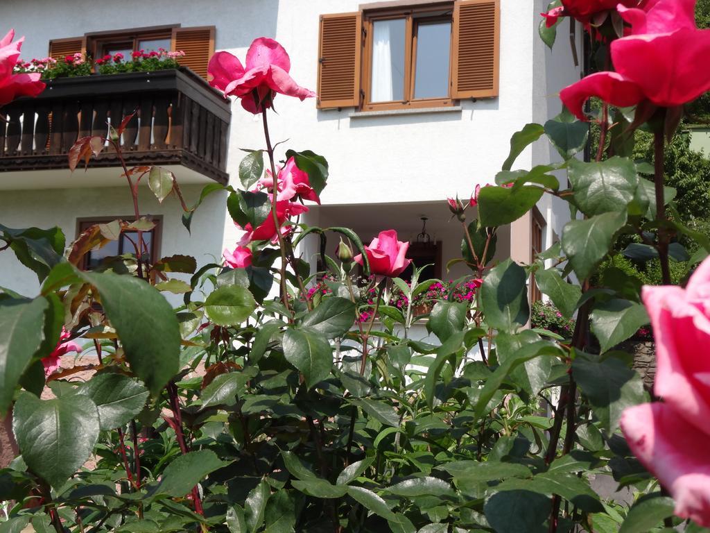 Schützenhof Aparthotel Sattendorf Exterior foto